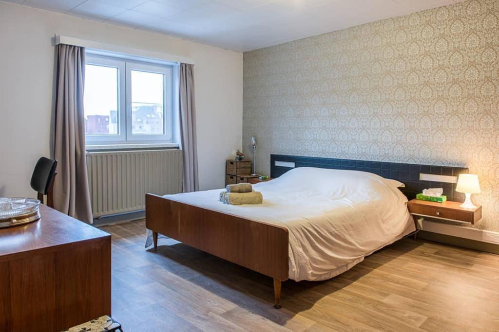 Vakantiewoning In Mol Centrum Met Eigen Bar "Casacuriosa" ภายนอก รูปภาพ